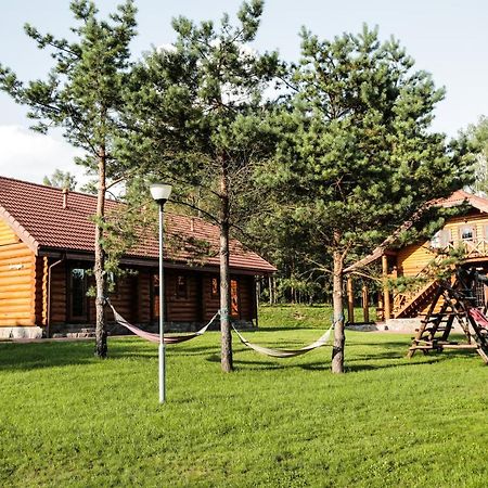 Гостевой дом Asvejos Slenis Suzionys Экстерьер фото